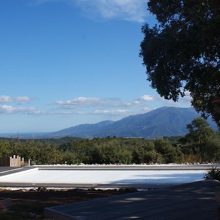 Mas La Marchette Bed & Breakfast Céret Eksteriør bilde