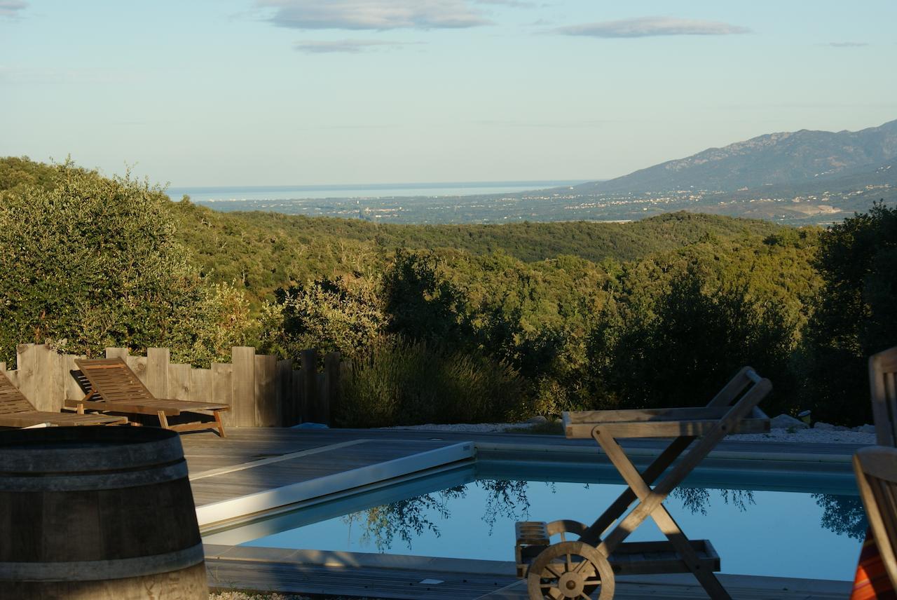 Mas La Marchette Bed & Breakfast Céret Eksteriør bilde
