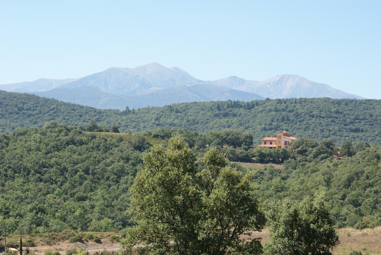 Mas La Marchette Bed & Breakfast Céret Eksteriør bilde
