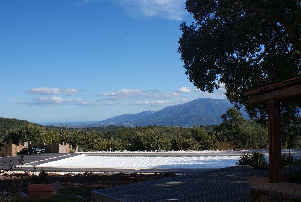 Mas La Marchette Bed & Breakfast Céret Eksteriør bilde